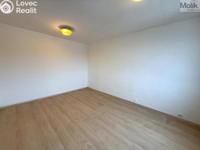 Rent apartment 1+1 Chlumec, Klidná č. 5