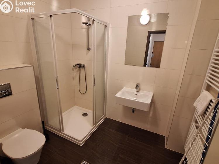 Prodej bytu 3+1 Teplice, Zeyerovo náměstí 1298/4 č. 3