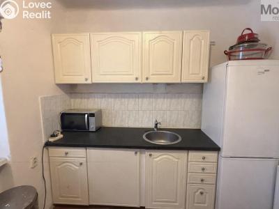 Rent apartment 1+1 Litvínov, Horská č. 1