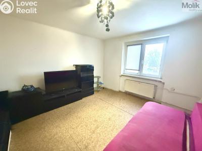 Rent apartment 1+1 Litvínov, Horská č. 3