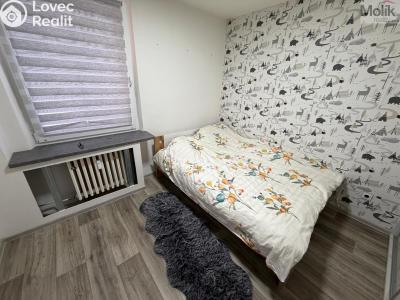 Продажа квартиры 4+1 Most, Josefa Suka č. 10