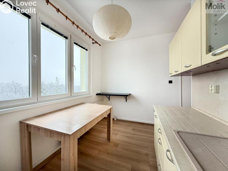 Rent apartment 2+1 Duchcov, Horská cesta č. 5