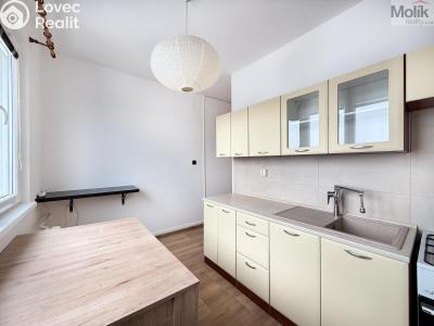 Rent apartment 2+1 Duchcov, Horská cesta č. 4