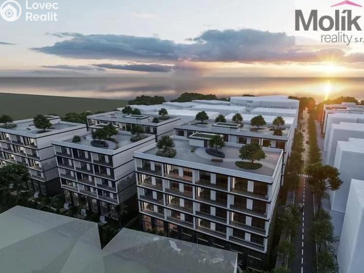 Prodej bytu 3+KK Golem č. 2