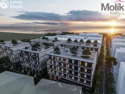 Prodej bytu 3+KK Golem č. 2