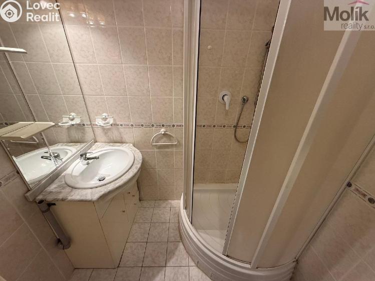 Rent apartment 2+1 Litvínov, Ukrajinská č. 8