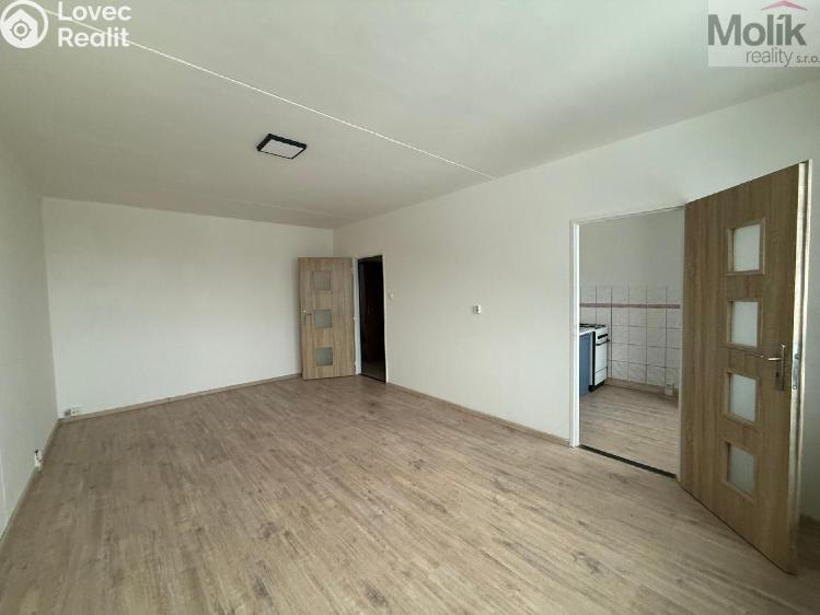 Rent apartment 1+1 Most, Jana Opletala č. 5