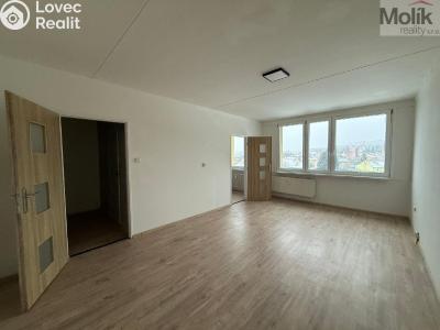 Rent apartment 1+1 Most, Jana Opletala č. 4