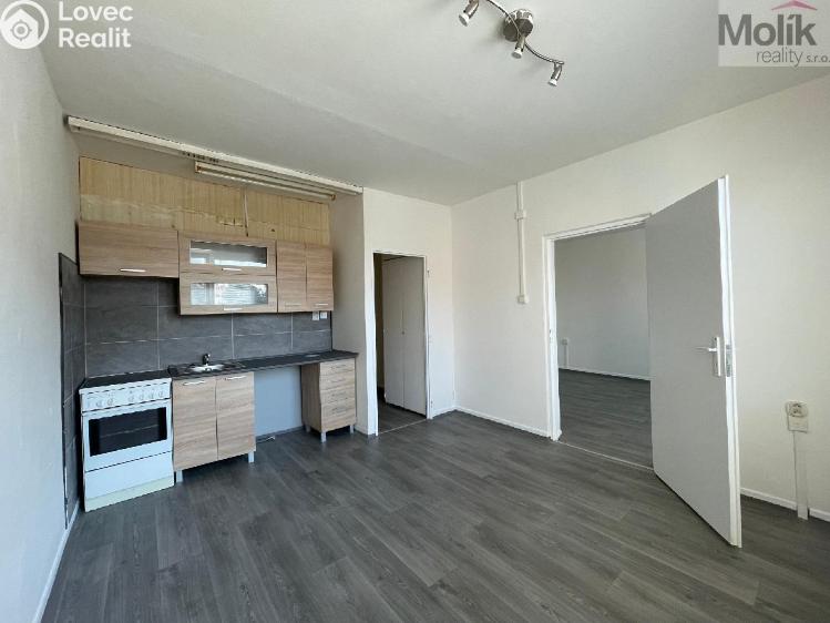 Оренда квартири 1+1 Litvínov, U Zámeckého parku č. 1