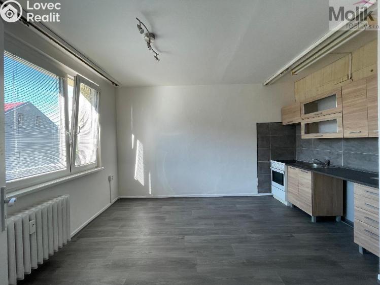 Оренда квартири 1+1 Litvínov, U Zámeckého parku č. 2