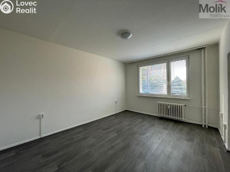 Оренда квартири 1+1 Litvínov, U Zámeckého parku č. 4