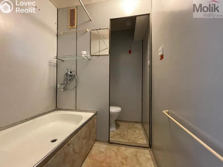 Оренда квартири 1+1 Litvínov, U Zámeckého parku č. 7