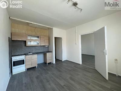 Rent apartment 1+1 Litvínov, U Zámeckého parku č. 1