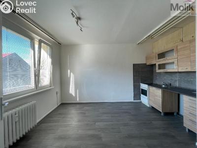 Rent apartment 1+1 Litvínov, U Zámeckého parku č. 2