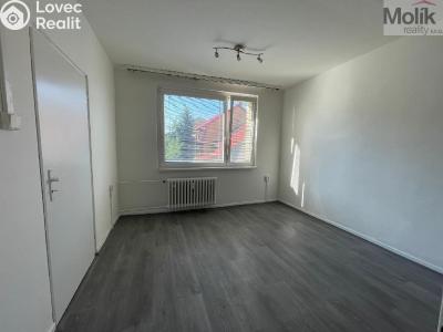 Rent apartment 1+1 Litvínov, U Zámeckého parku č. 3