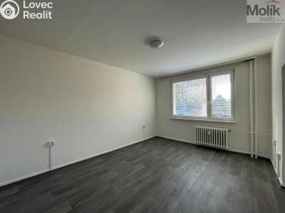 Rent apartment 1+1 Litvínov, U Zámeckého parku č. 4