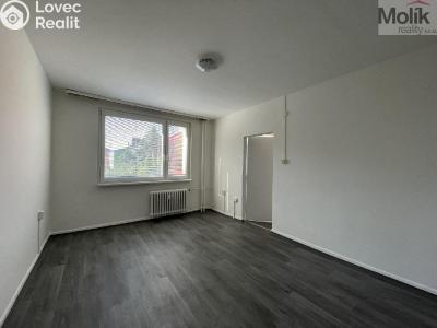 Rent apartment 1+1 Litvínov, U Zámeckého parku č. 5