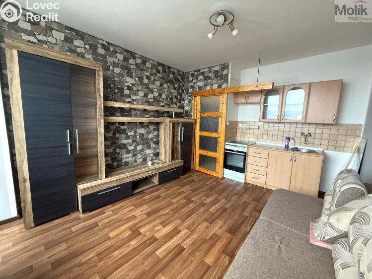Rent apartment 1+KK Most, U Věžových domů č. 1