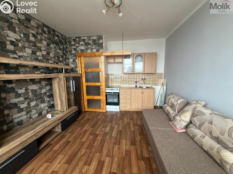 Rent apartment 1+KK Most, U Věžových domů č. 2