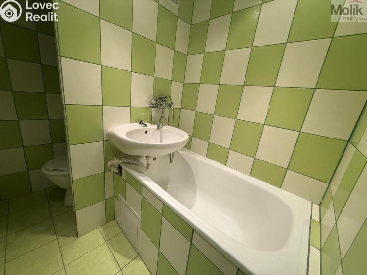 Rent apartment 1+KK Most, U Věžových domů č. 5