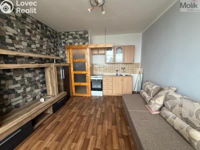 Rent apartment 1+KK Most, U Věžových domů č. 2