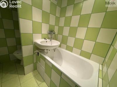 Rent apartment 1+KK Most, U Věžových domů č. 5