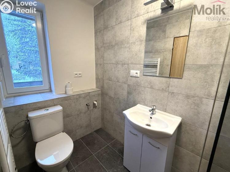 Pronájem bytu 3+1 Meziboří, Pod strání č. 2