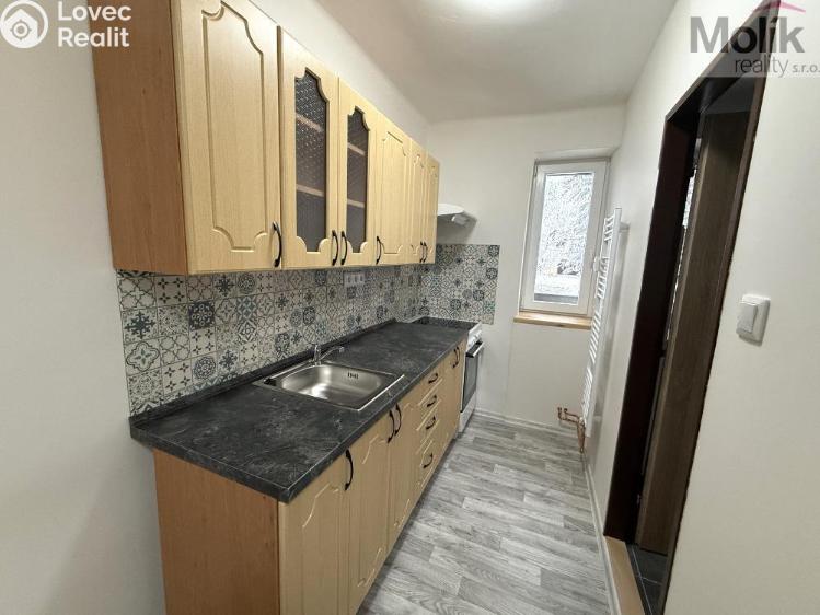 Pronájem bytu 3+1 Meziboří, Pod strání č. 3