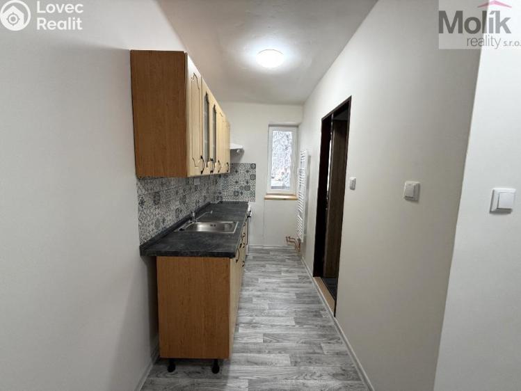 Pronájem bytu 3+1 Meziboří, Pod strání č. 4