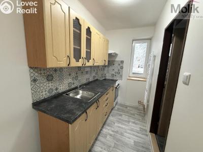 Pronájem bytu 3+1 Meziboří, Pod strání č. 3