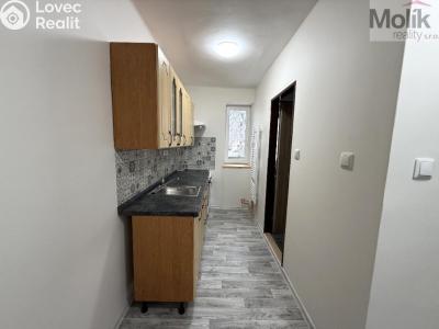 Pronájem bytu 3+1 Meziboří, Pod strání č. 4