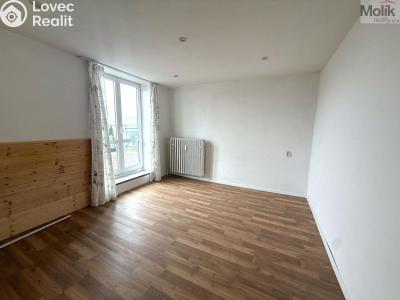 Pronájem bytu 1+KK Most, Josefa Skupy č. 3