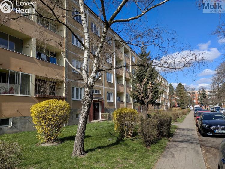 Rent apartment 2+1 Bílina, M. Švabinského 660 č. 21