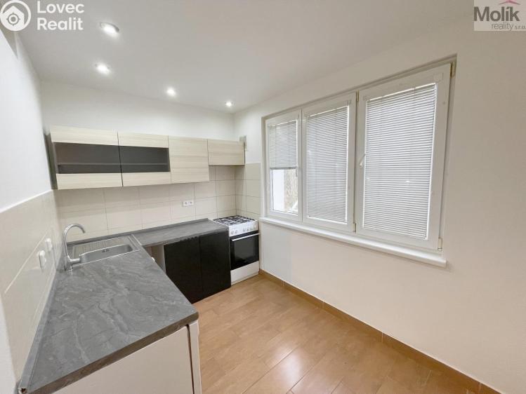 Rent apartment 2+1 Litvínov, Podkrušnohorská č. 2