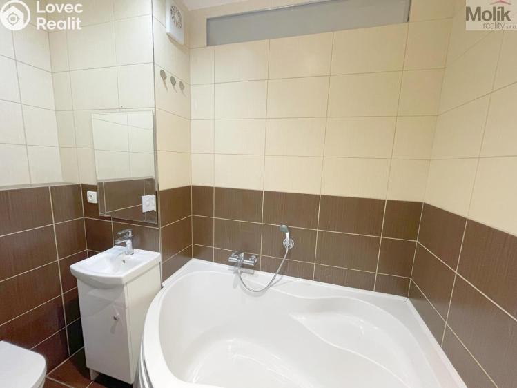 Rent apartment 2+1 Litvínov, Podkrušnohorská č. 9