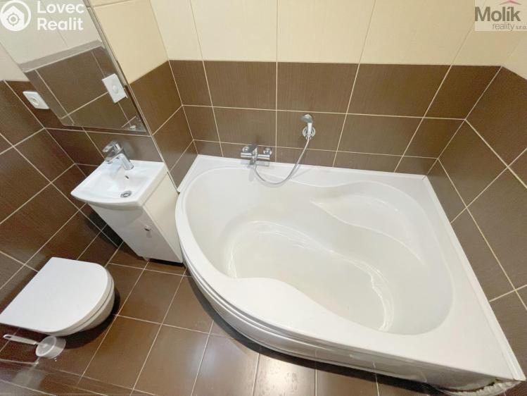 Rent apartment 2+1 Litvínov, Podkrušnohorská č. 10