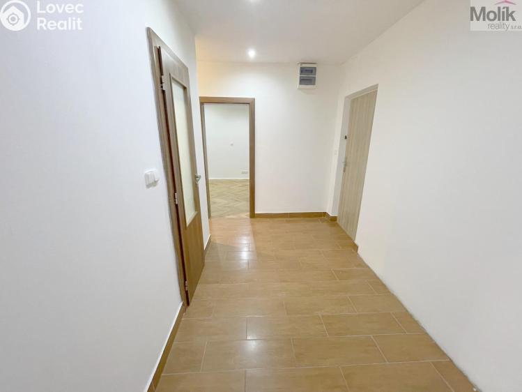 Rent apartment 2+1 Litvínov, Podkrušnohorská č. 11