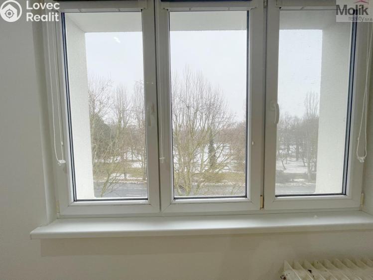 Rent apartment 2+1 Litvínov, Podkrušnohorská č. 14