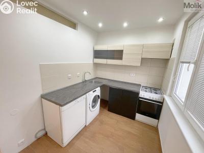 Rent apartment 2+1 Litvínov, Podkrušnohorská č. 3