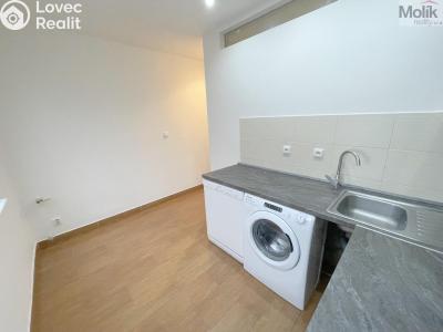 Rent apartment 2+1 Litvínov, Podkrušnohorská č. 4