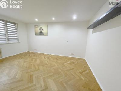 Rent apartment 2+1 Litvínov, Podkrušnohorská č. 6