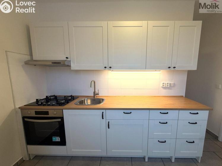 Rent apartment 2+1 Most, Petra Jilemnického č. 1