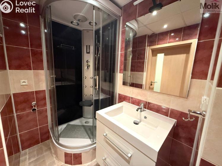 Rent apartment 2+1 Most, Petra Jilemnického č. 8