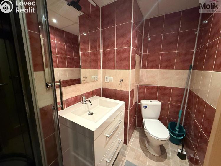 Rent apartment 2+1 Most, Petra Jilemnického č. 9