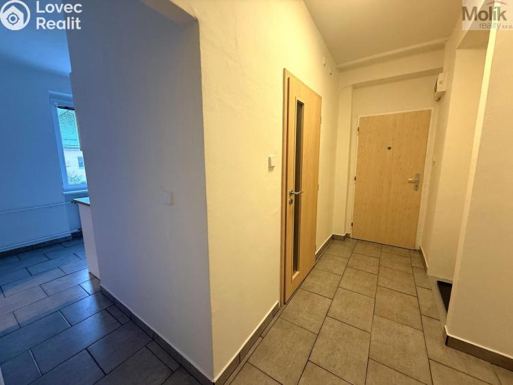 Rent apartment 2+1 Most, Petra Jilemnického č. 10