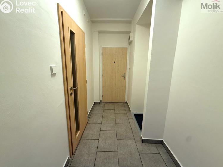 Rent apartment 2+1 Most, Petra Jilemnického č. 11