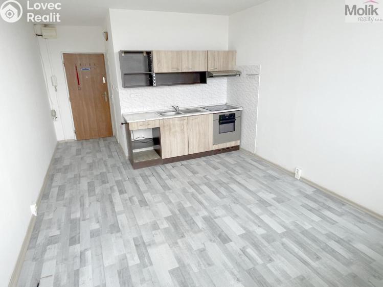 Prodej bytu 1+KK Most, U Věžových domů č. 1