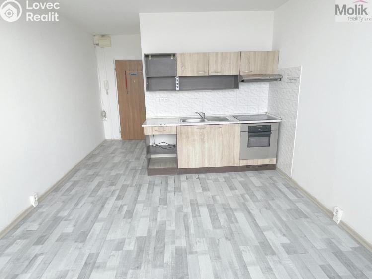 Prodej bytu 1+KK Most, U Věžových domů č. 2