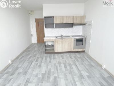 Prodej bytu 1+KK Most, U Věžových domů č. 3