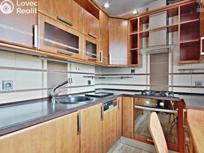 Rent apartment 2+1 Most, Pionýrů č. 2